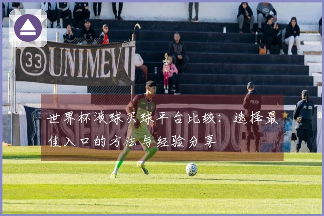 世界杯滚球买球平台比较：选择最佳入口的方法与经验分享