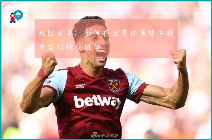 经验分享：如何在世界杯滚球中提升你的投注胜率