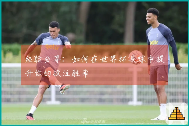 经验分享：如何在世界杯滚球中提升你的投注胜率