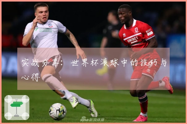 实战分享：世界杯滚球中的技巧与心得
