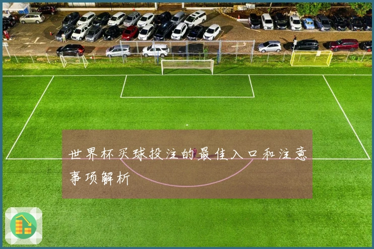 世界杯买球投注的最佳入口和注意事项解析